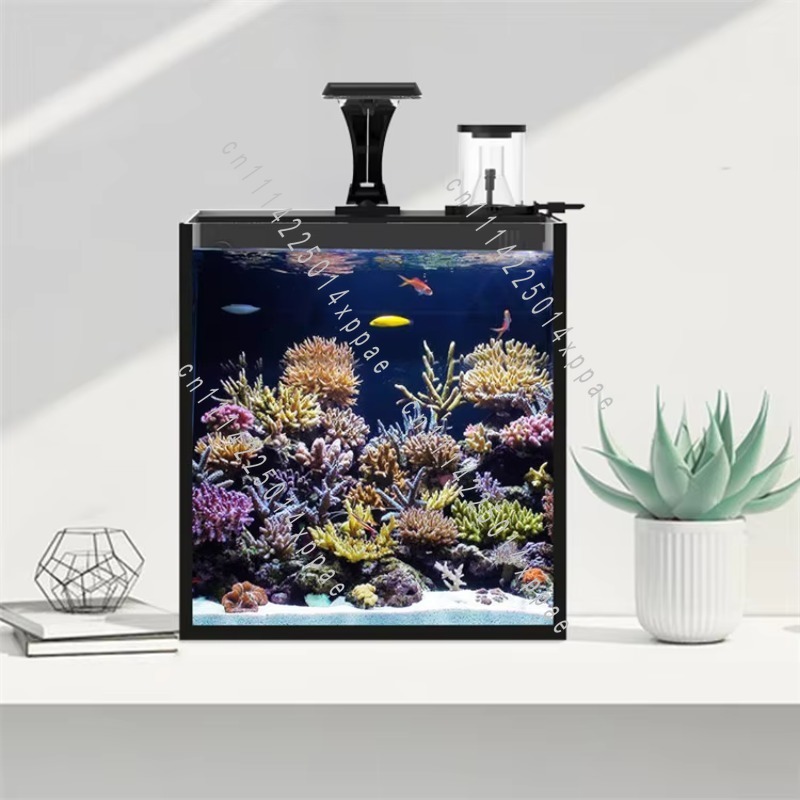 海水用クリアガラス製ミニ水槽 - Aquarium Marine Salt のレビューと価格