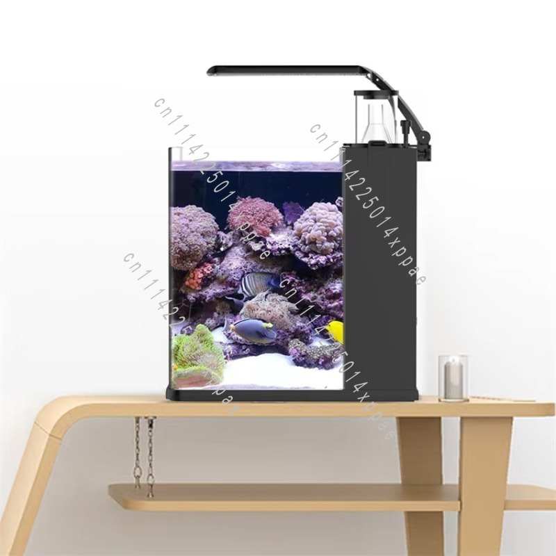 海水用クリアガラス製ミニ水槽 - Aquarium Marine Salt のレビューと価格