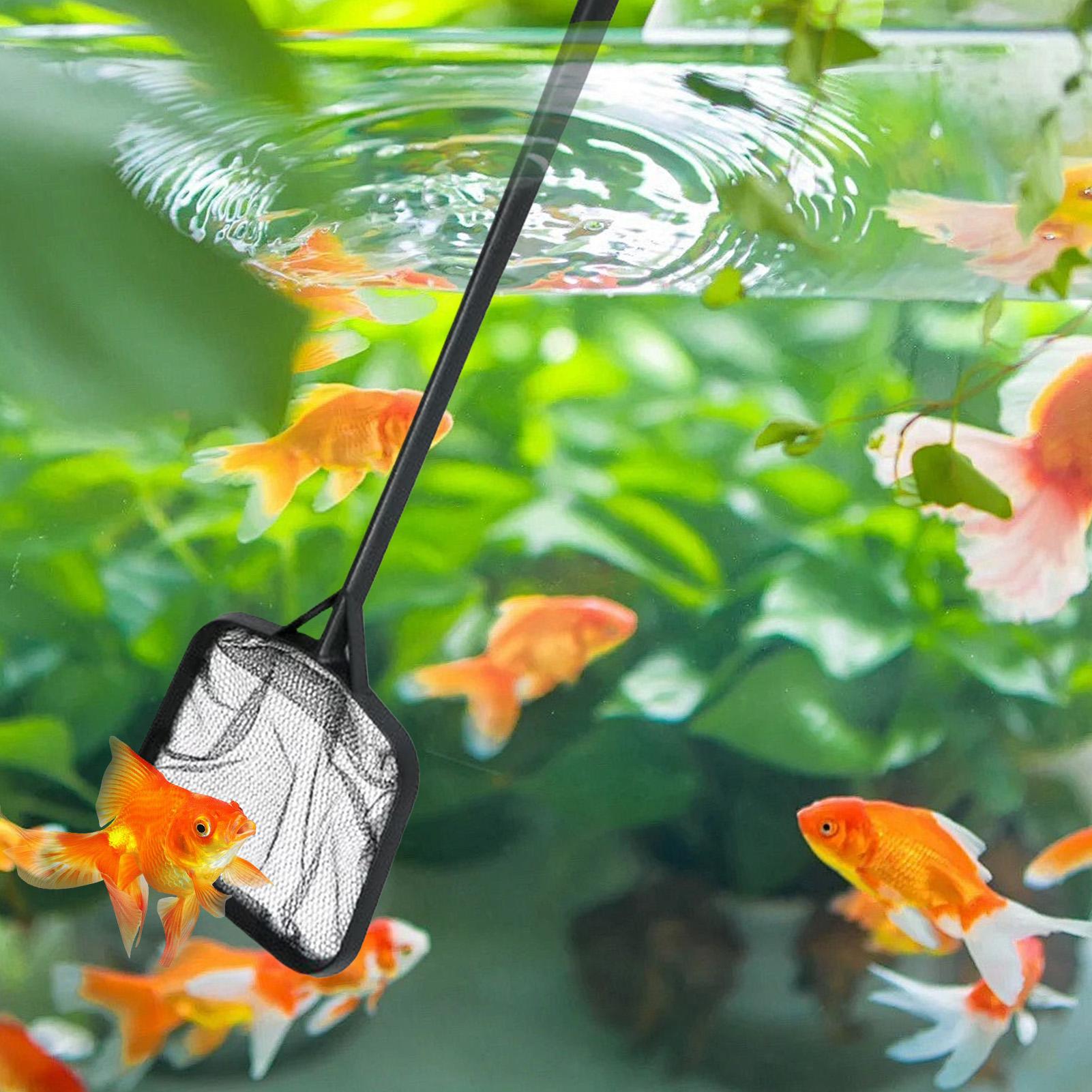 プールネット 清掃用 ポータブルプールストレーナーネット 噴 - Aquarium Marine のレビューと価格