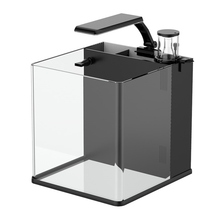 最新モデル クリアガラス ミニ海水魚水槽 海水魚用 - Aquarium Marine Salt のレビューと価格