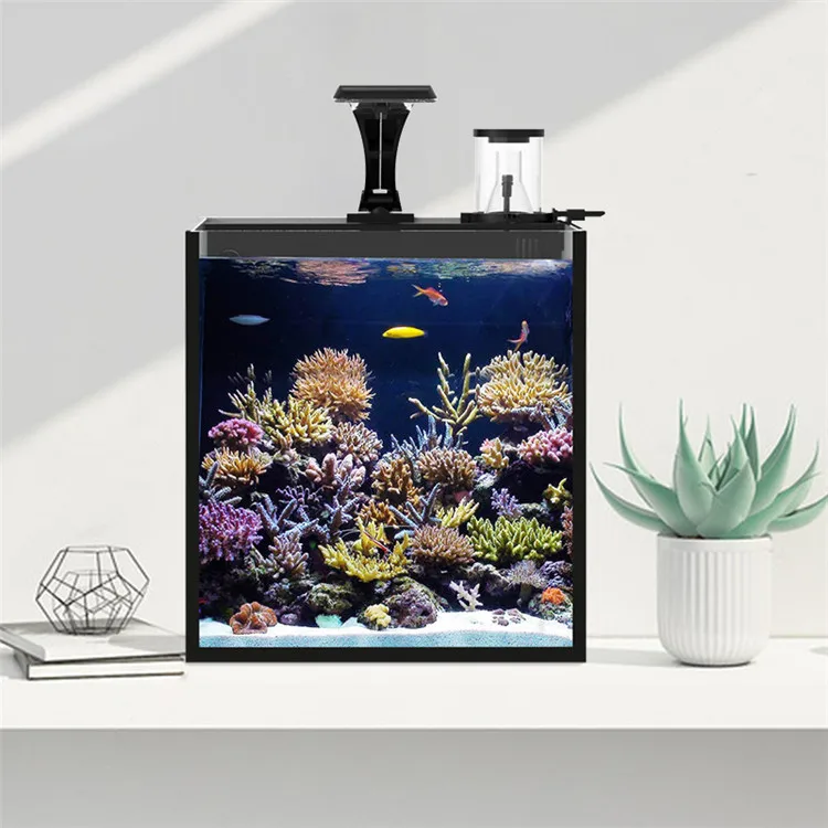 最新モデル クリアガラス ミニ海水魚水槽 海水魚用 - Aquarium Marine Salt のレビューと価格