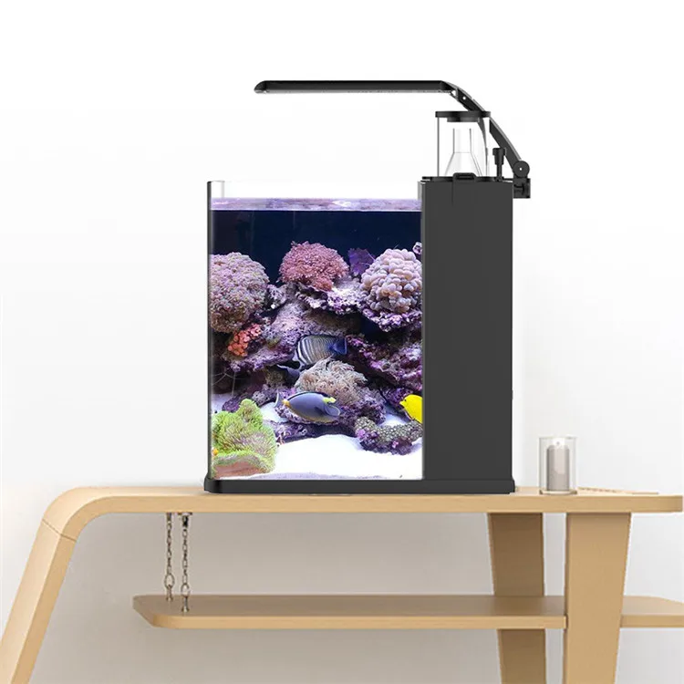 最新モデル クリアガラス ミニ海水魚水槽 海水魚用 - Aquarium Marine Salt のレビューと価格