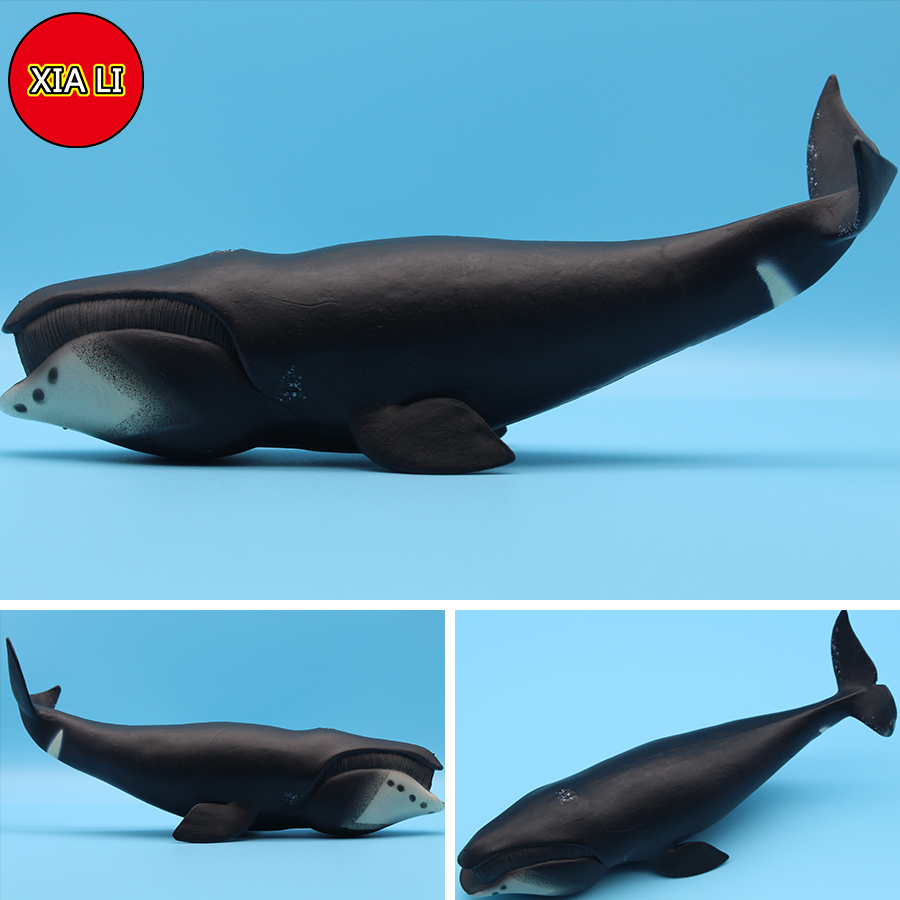 海洋生物シミュレーション シャチ ウミガザ イルカ アクショ - Aquarium Blue Marine のレビューと価格