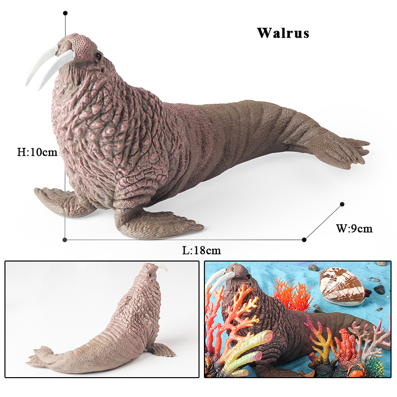 Oenux 新しい海洋生物シールアシカシロナガスクジラサメメ - Aquarium Blue Marine のレビューと価格