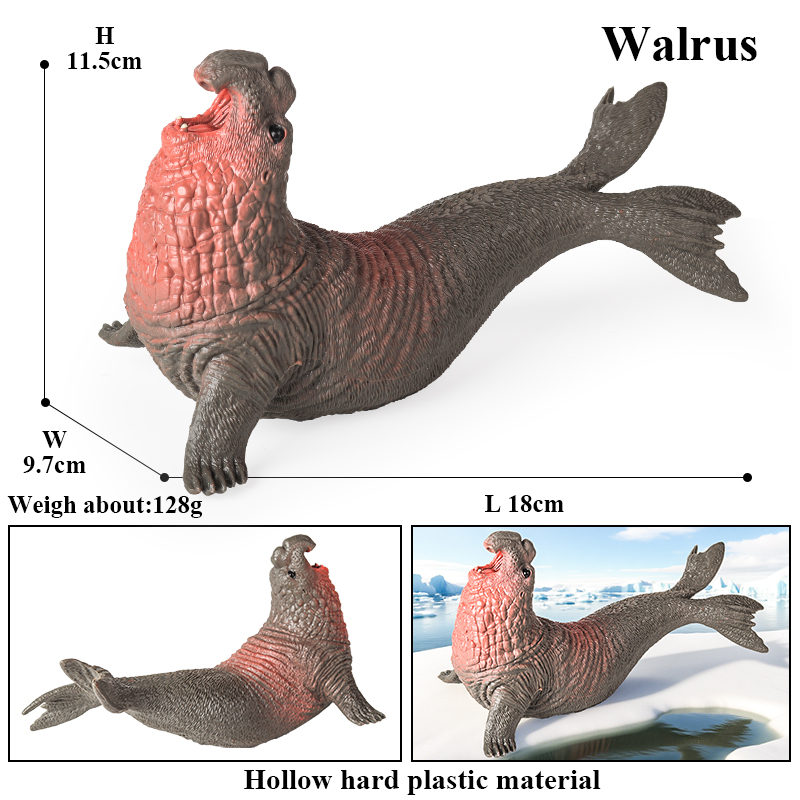 Oenux 新しい海洋生物シールアシカシロナガスクジラサメメ - Aquarium Blue Marine のレビューと価格