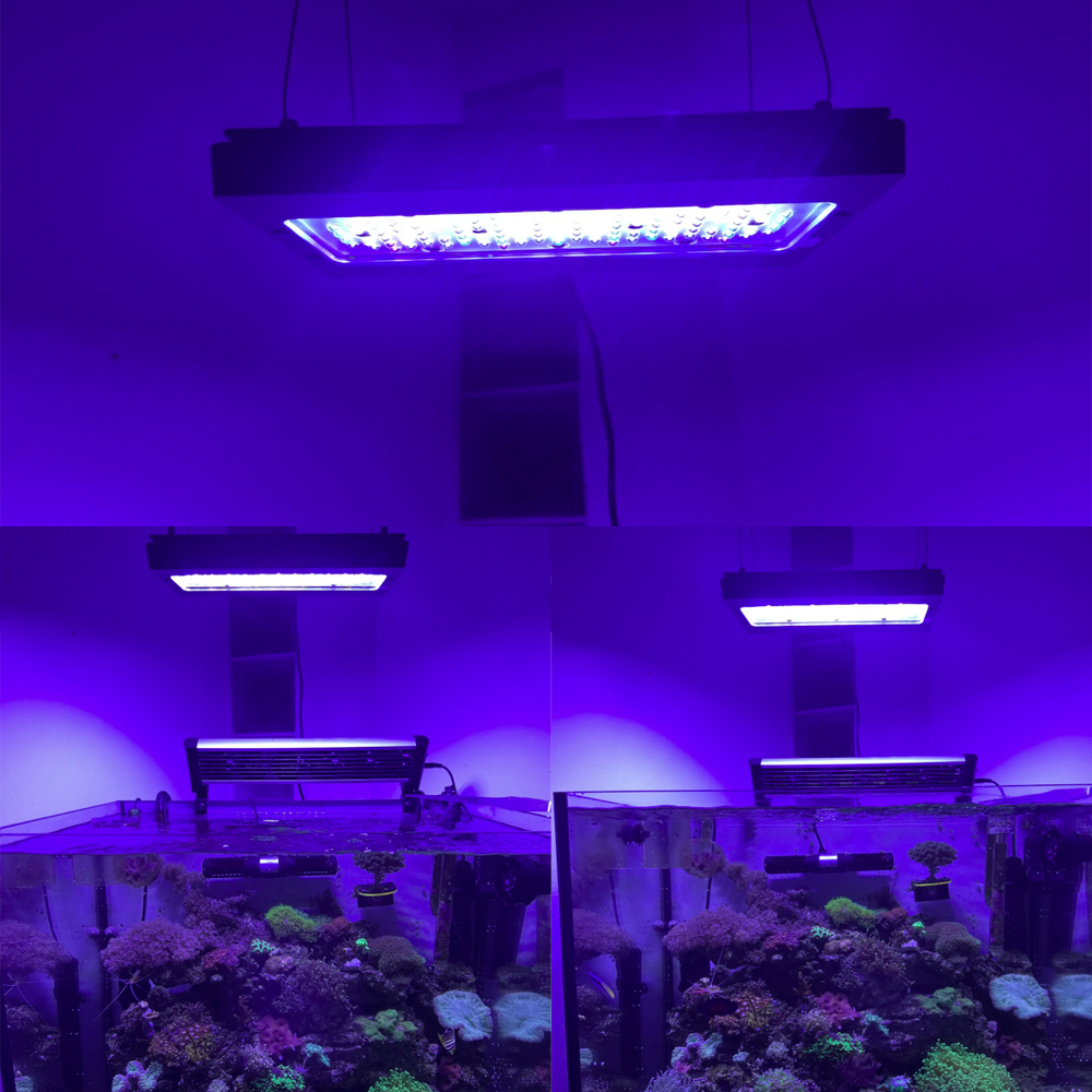 A8se Pro III MAX ブルー 240W マリンリ - Aquarium Blue Marine のレビューと価格