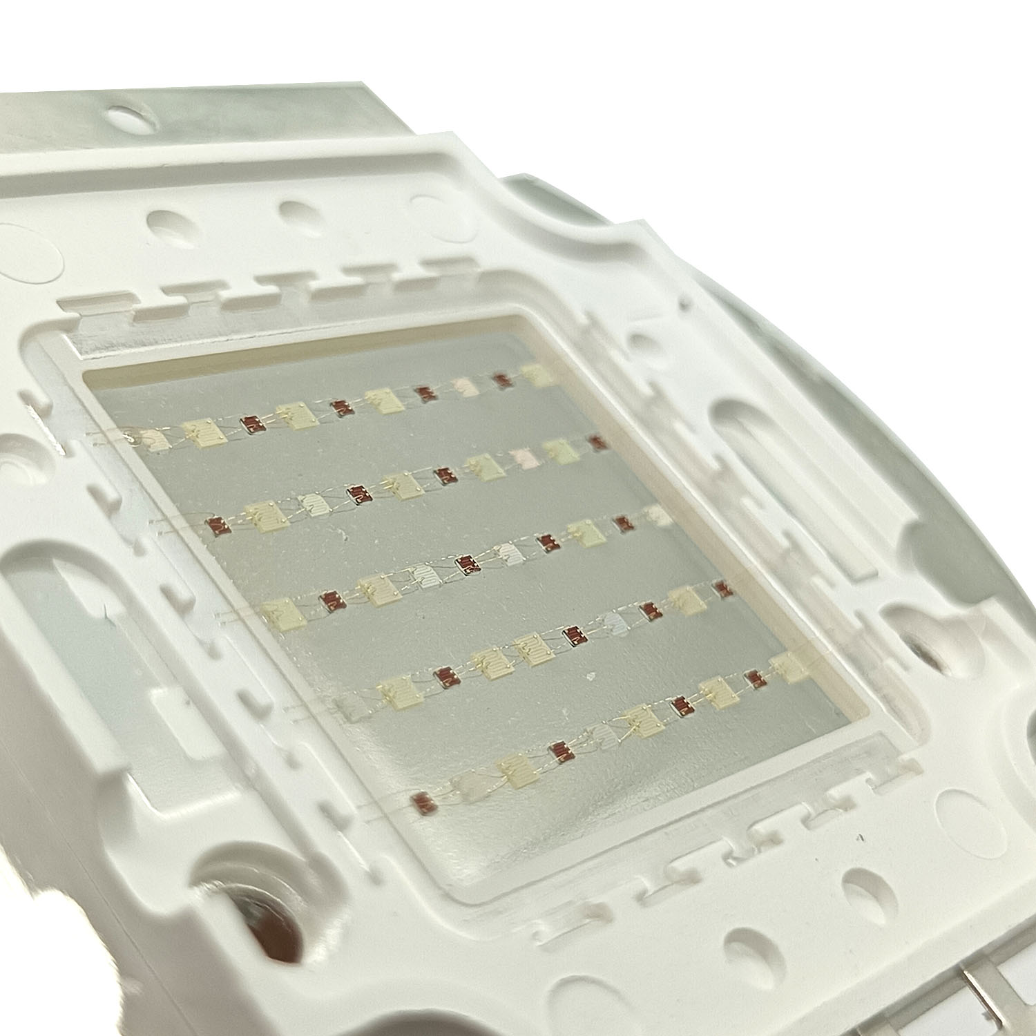50W 60W 70W 100W RGB 26-28V ハイ - Aquarium Blue Marine のレビューと価格