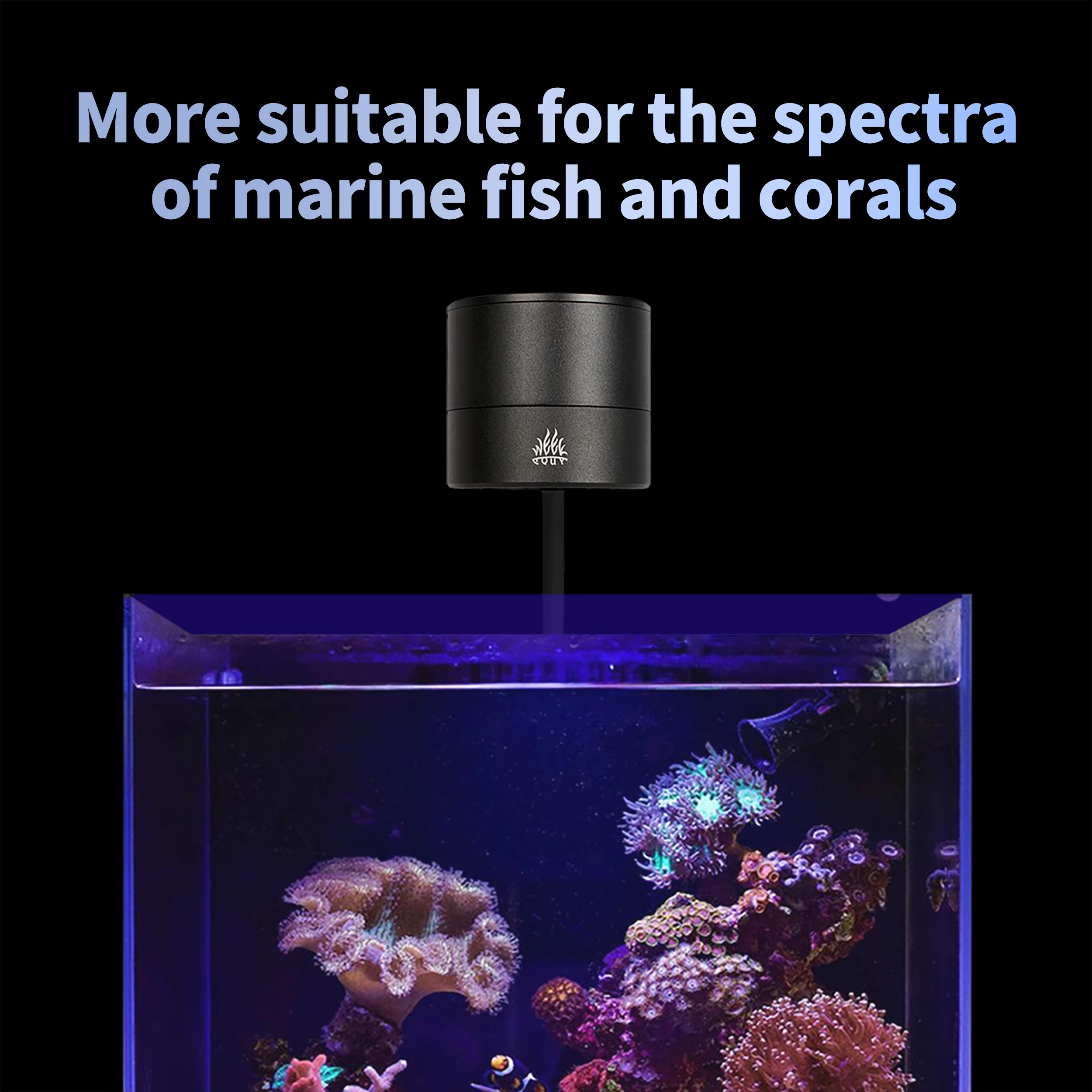 WEEK AQUA水槽ライトメーカー ブルーリーフライト L - Aquarium Blue Marine のレビューと価格