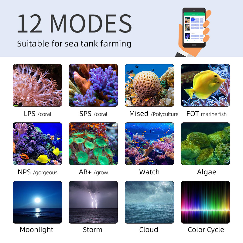 ZXY ホットセール WEEKAQUA Z250 Z400s - Aquarium Blue Marine のレビューと価格