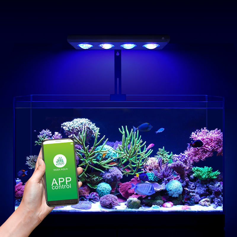ZXY ホットセール WEEKAQUA Z250 Z400s - Aquarium Blue Marine のレビューと価格