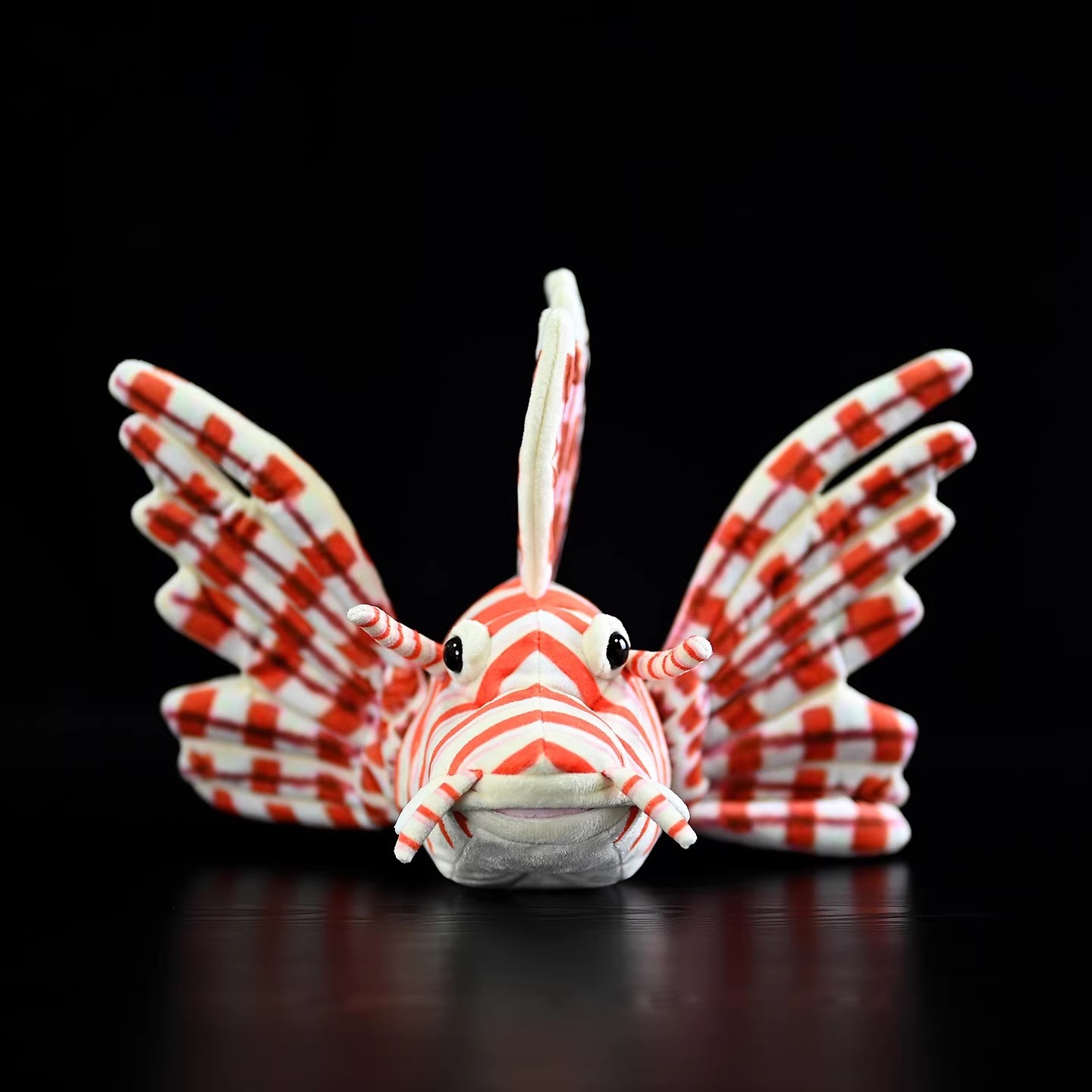 プテロイズ・ボリタンス サンゴ礁魚 海 海洋 海洋水族館 水 - Aquarium Marine Park のレビューと価格