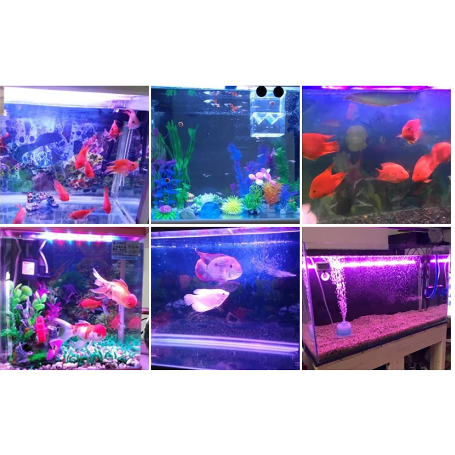 50W 60W 70W 100W RGB 26-28V ハイ - Aquarium Blue Marine のレビューと価格