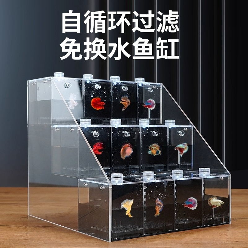 透明な水槽、卓上多層多格子式、水不要の生態系水槽、自動循環造 - Aquarium Marine Salt のレビューと価格