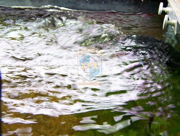サンサン JVP-200 最新型ウェーブメーカー ポンプ、6 - Aquarium Marine Salt のレビューと価格